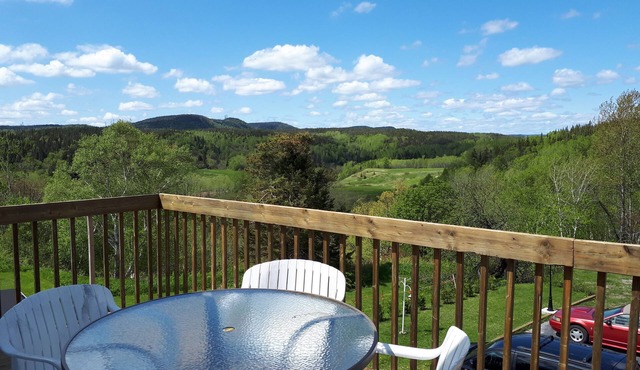 Les Appartements de la Bergeronnette