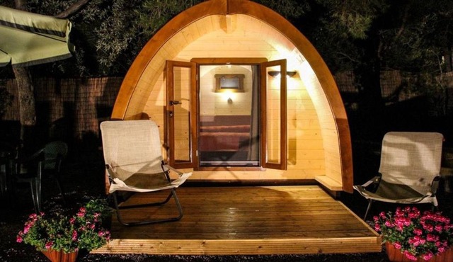 Les Atypiques de Sologne - SPA - Zoo de Beauval