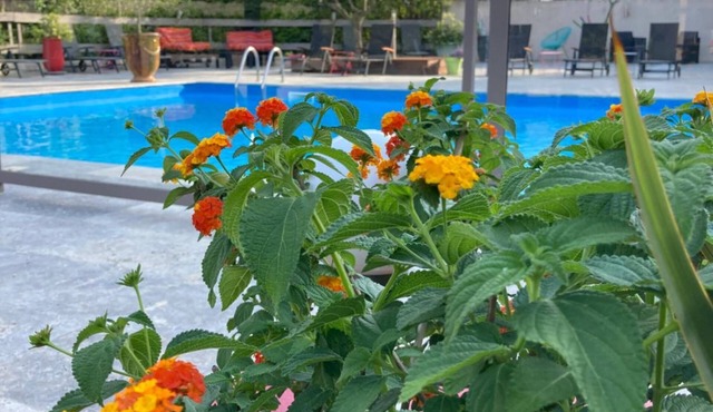 Les Aubuns Country Hôtel