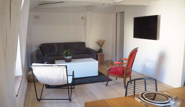 Les baleines - Hypercentre 2 chambres avec garage et clim