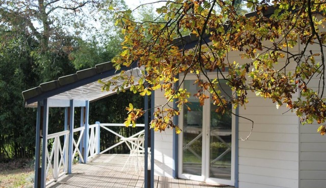 Les Bambous - Taller