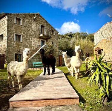 Les Bergeries de Figari