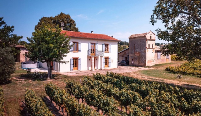 Les Blancs - Vineyard escape - Pool