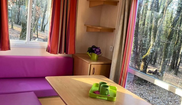 Les Bois de Prayssac Campsite - 2-room mobile home for 2 people