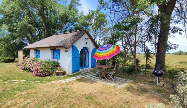 Les bourrines du marais, Le bourrineau