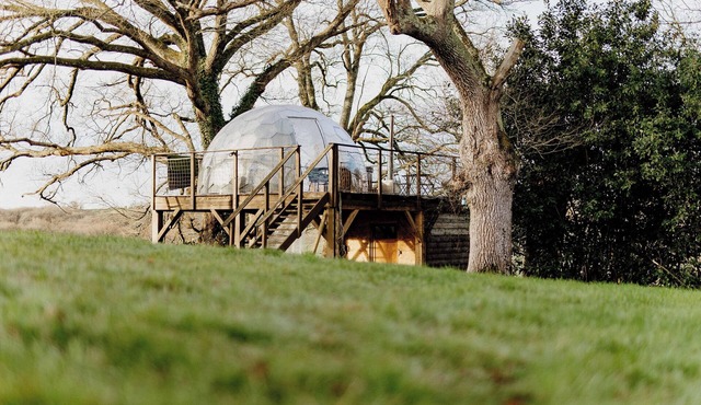 Les Bulles Perchées de Lartigue