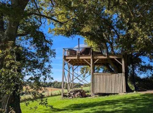 les bulles perchées de lartigue