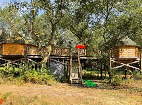 Les cabanes de la palombière