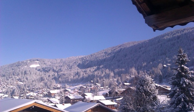 Les Carroz Alpine Chalet - central