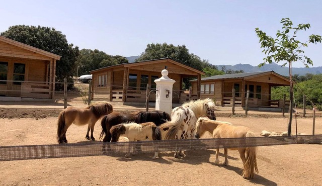 'Les Chalets De Tesa' with Mountain View, Wi-Fi and Air Conditioning