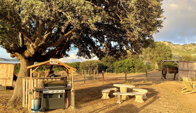 Les Chalets de Tesa N°4 Le Luxe au Milieu des Chevaux