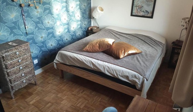 Les chambres des chats malicieux