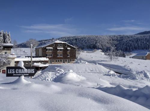 Les Chamois du Jura à Lajoux