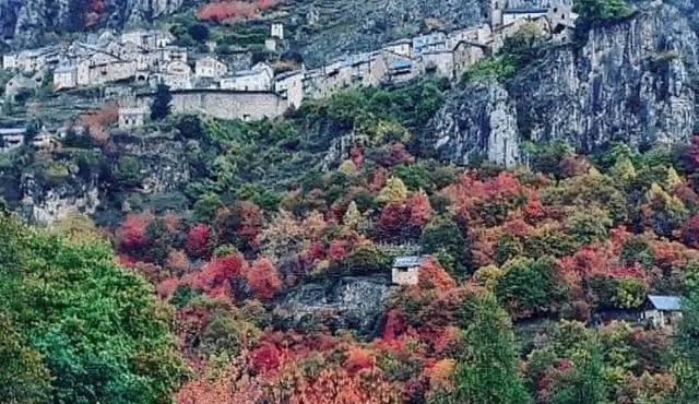 Les Chardons - ROUBION