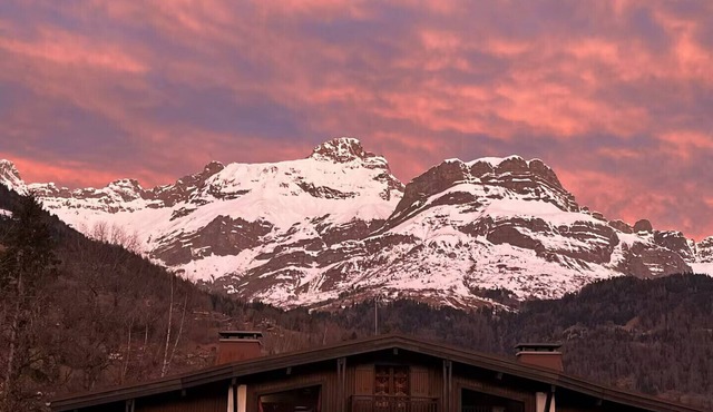 Les Chaumes - T3 moderne piscine