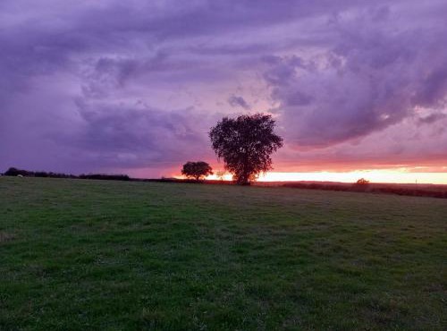 Les Chaumes Violettes-Chambres & Table d'hôtes à la campagne, Berry