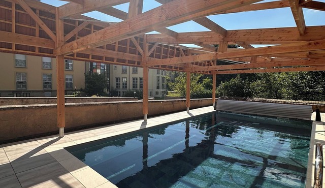 Les Cigognes de Rosheim