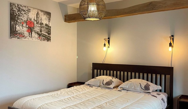 Les Clématites de Saint Aignan 8 pers, 7 min de Zoo