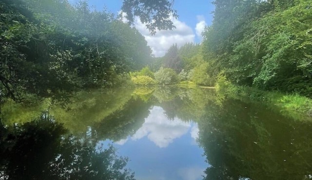 Les cocottes - Gîte in the heart of nature