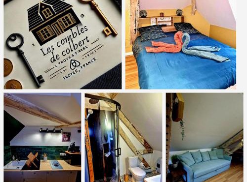 Les Combles de Colbert- hyper center