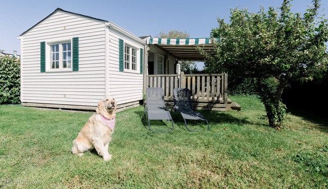 Les Cottages de Lyxie Cottage Sport et Nature?