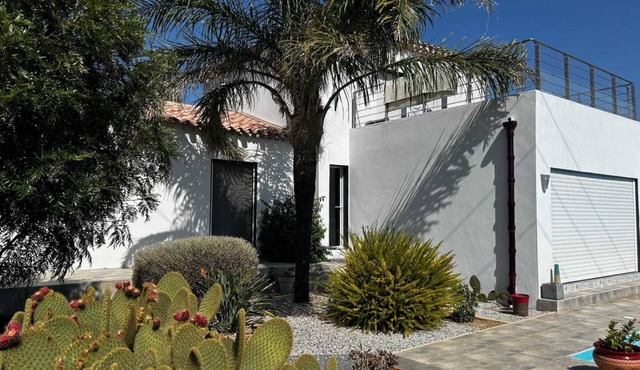 Les Cycas - PONTEILLA