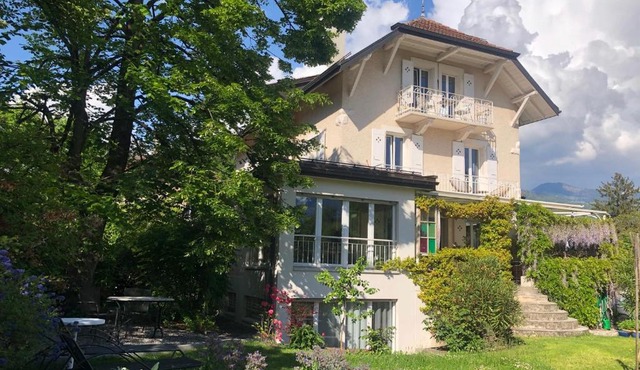 Les Cyprès