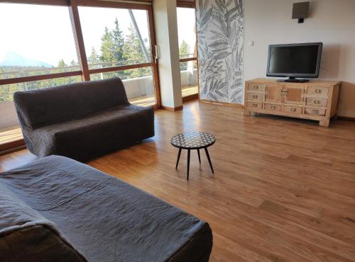 Les Domaines de LArselle à Chamrousse 1700 -Silènes A32 - Classé 3 étoiles