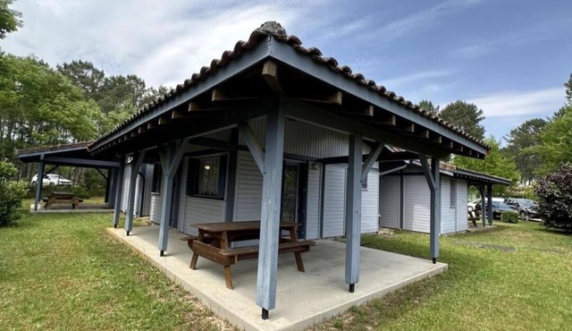 Les Droséras - Brocas