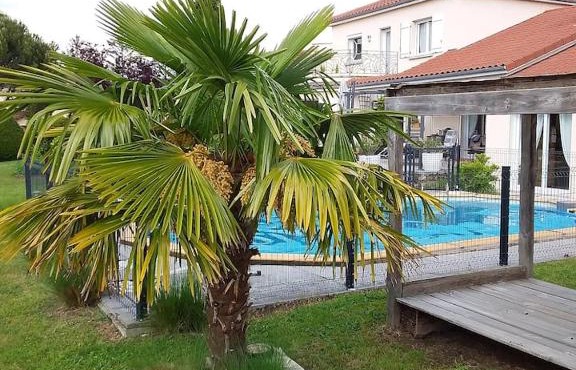 Les Etoiles du mont d'Uzore