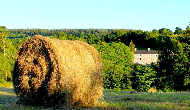 Les Faisans cottage in beautiful countryside near uncrowded beaches