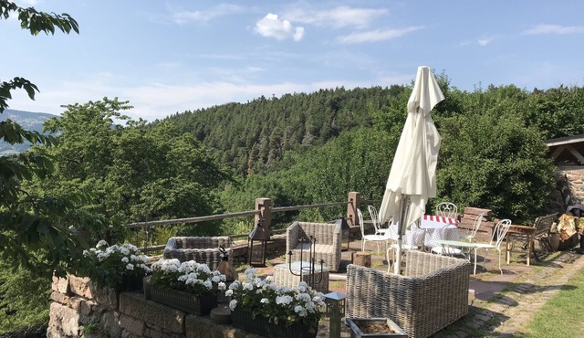LES FERMES DE PINPIN -LABAROCHE NEAR SKI RESORT AND ALSACE WINE ROUTE