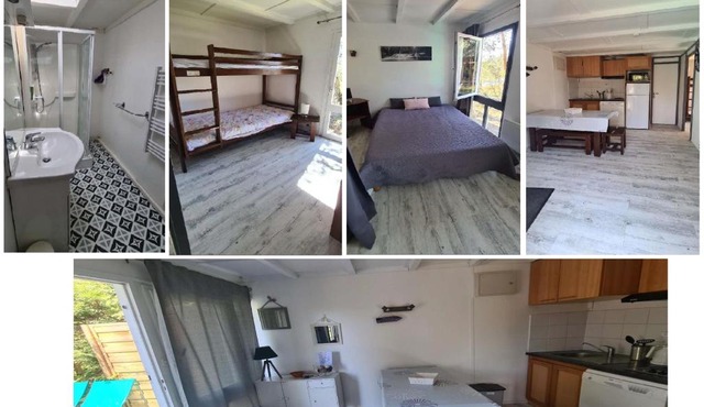 Les fougères A81 Les villages sous les pins LEON 40550