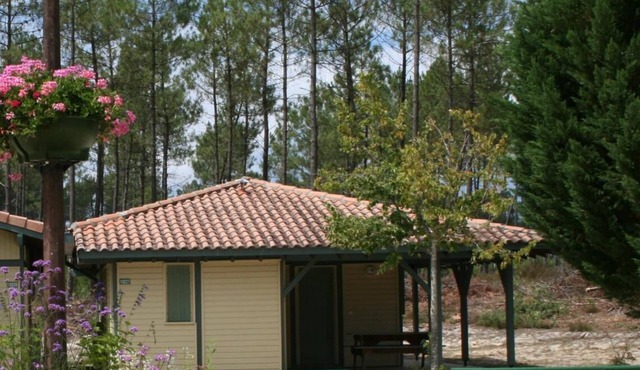 Les Fougères - Brocas