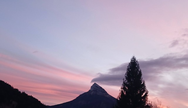 Les Chamoix en Chartreuse