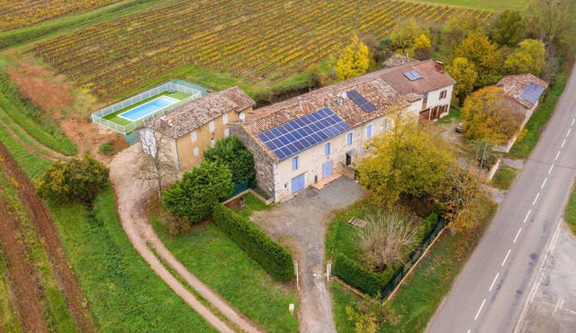 Les Gîtes de Crabet - Swimming pool - Vineyard