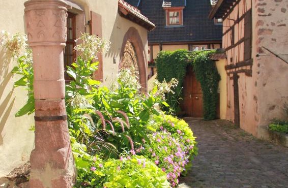 Les Gîtes Coeur de Vigne