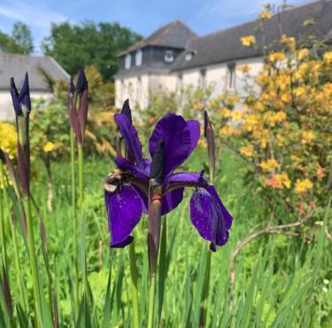 Les Gîtes du Manoir de Keryvon