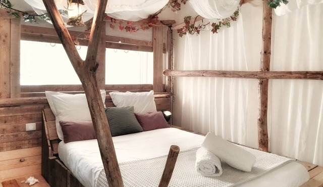 Les gîtes insolites de l'etang d'Anty