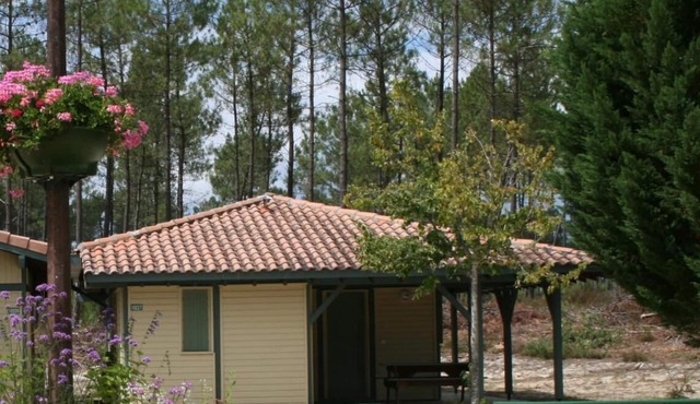 Les Genêts - Brocas - Gîte