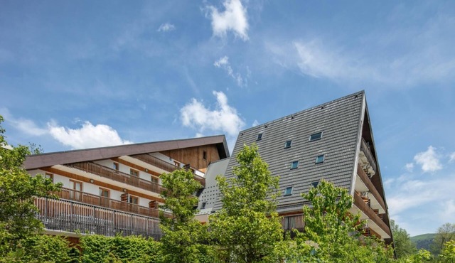 Les Gentianes S2p - Studio Apartment, Sleeps 2