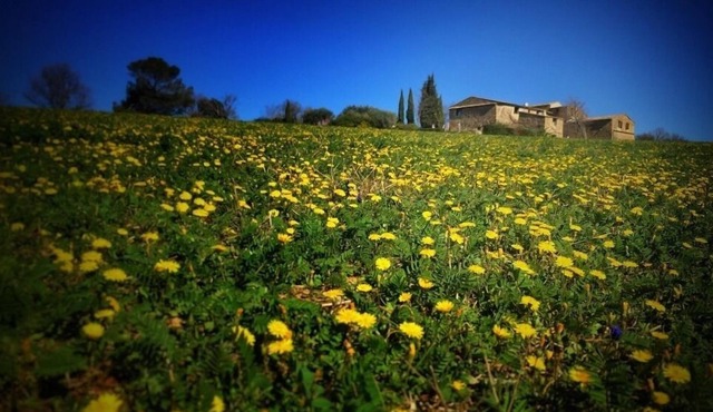 Les Grandes Mollières