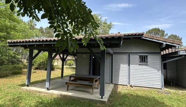 Les Hélianthèmes - Brocas