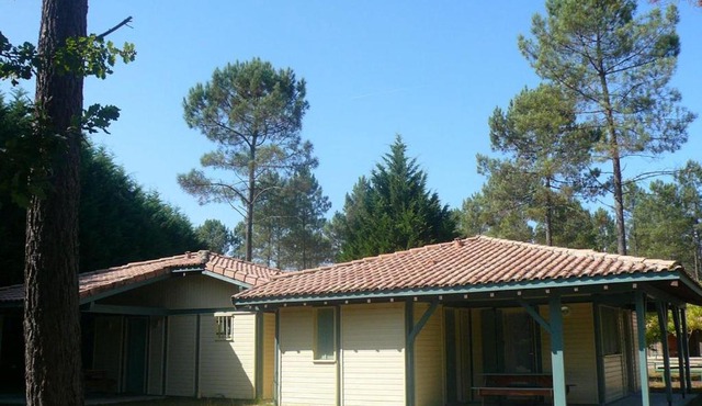 Les hélianthèmes