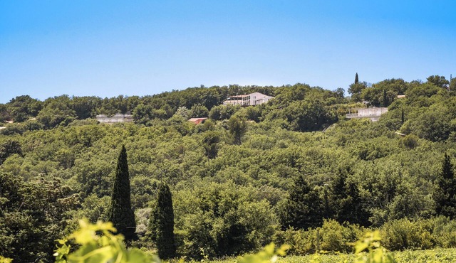 Les Hauts d'Avignon - Guesthouse - Room 1
