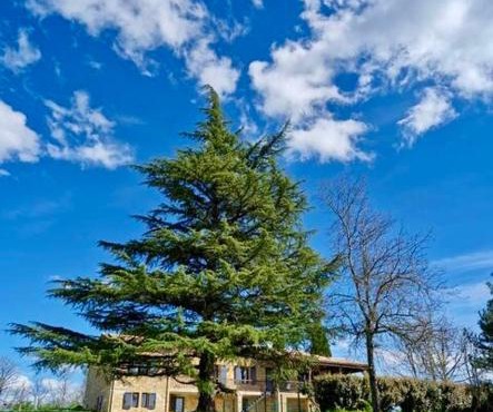 Les Hauts de Courrech