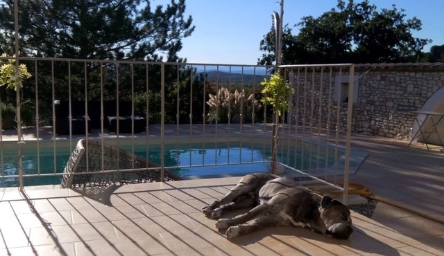 Les Hauts de Lascours | Holiday Home with Private Pool