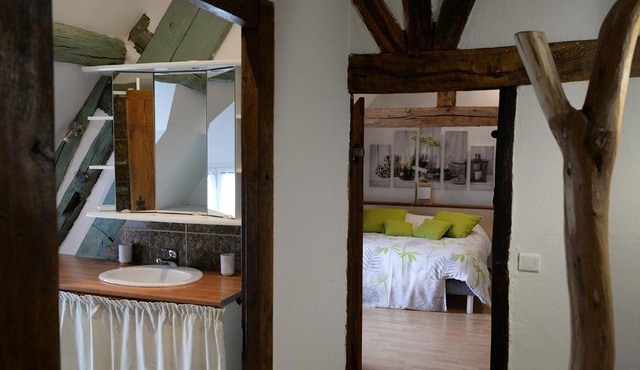 Les Hellebores 123 Sologne