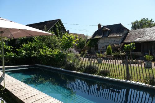 Les hirondelles