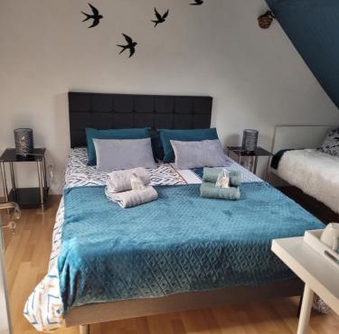 Les Hirondelles à 5 mn de l' aeroport